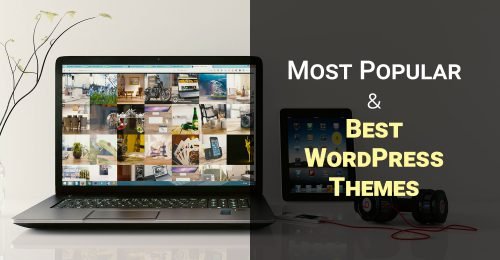 Best WordPress Themes