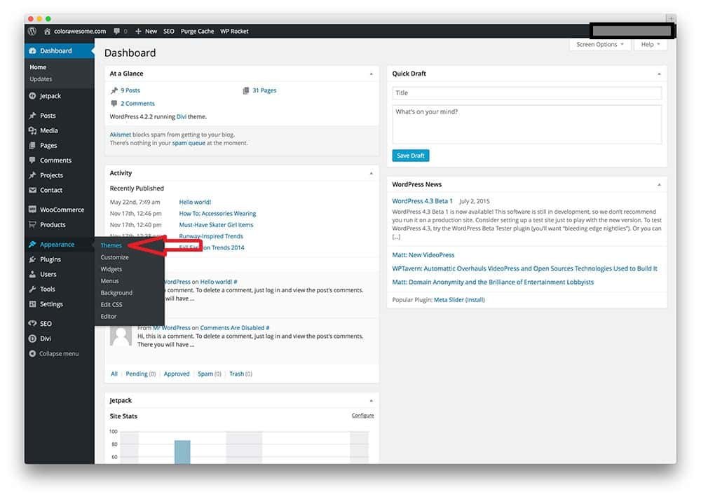 How To Select A WordPress Theme Step 1